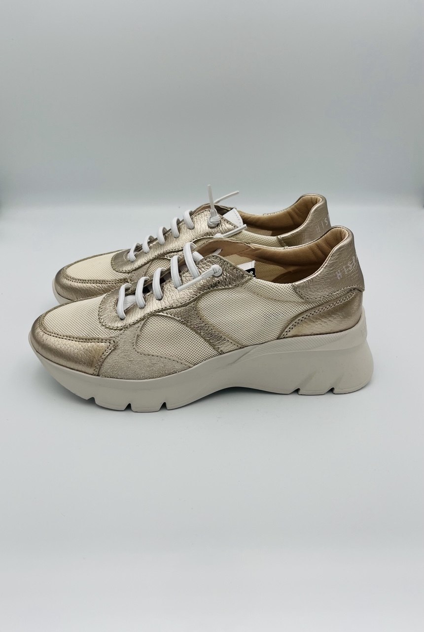 Hispanitas Pannaplatino Allacciato